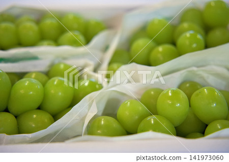 A close-up of fresh Shine Muscat grapes A close-up of fresh Shine Muscat grapes 141973060