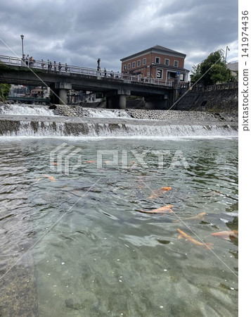河裡漂浮著鯉魚 河裡漂浮著鯉魚 141974436