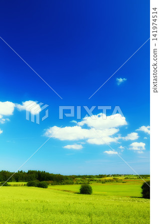Blue sky, landscape and farm with nature in field, travel or agriculture with sustainability, growth and eco friendly. Meadow, land or holiday in Switzerland with ecosystem, biodiversity and location Blue sky, landscape and farm with nature in field, travel or agriculture with sustainability, growth and eco friendly. Meadow, land or holiday in Switzerland with ecosystem, biodiversity and location 141974514