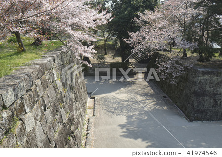 和歌山城 表坂 和歌山城 表坂 141974546