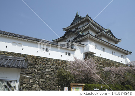 和歌山城堡城堡塔 和歌山城堡城堡塔 141974548