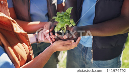 Hands, people and volunteer in nature with plants, growth and earth day for community outreach. Team, soil and botany at park with leaves, social responsibility and gardening for conservation project Hands, people and volunteer in nature with plants, growth and earth day for community outreach. Team, soil and botany at park with leaves, social responsibility and gardening for conservation project 141974792