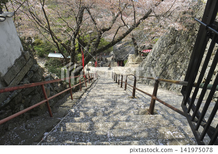 君井寺(和歌山縣) 君井寺(和歌山縣) 141975078