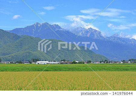 Summer in the Northern Alps, Ushiro-Tateyama mountain range 141976044