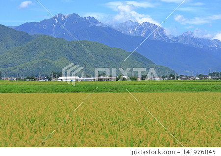 夏季北阿爾卑斯立山山脈 夏季北阿爾卑斯立山山脈 141976045