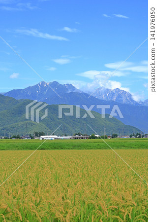 夏季北阿爾卑斯立山山脈 夏季北阿爾卑斯立山山脈 141976050