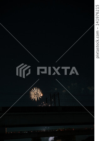 大型煙花在夜空中盛開 大型煙花在夜空中盛開 141976215