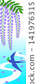 Wisteria flowers and swallows 141976315