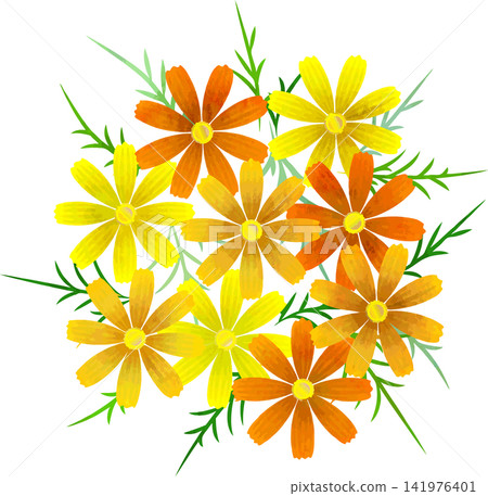 水彩風格向量波斯菊花束(黃色花朵) 水彩風格向量波斯菊花束(黃色花朵) 141976401
