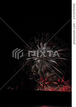 夜空中盛開著一朵絢麗的花朵 夜空中盛開著一朵絢麗的花朵 141976440