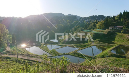 Morning light bathing the terraced rice fields Morning light bathing the terraced rice fields 141976631