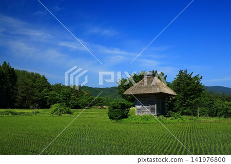 夏日藍天和茅草屋頂的村莊 夏日藍天和茅草屋頂的村莊 141976800