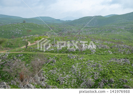 Yamaguchi Prefecture / The spectacular scenery of Akiyoshidai (Akiyoshidai Karst Plateau), a karst plateau surrounded by fresh greenery. Yamaguchi Prefecture / The spectacular scenery of Akiyoshidai (Akiyoshidai Karst Plateau), a karst plateau surrounded by fresh greenery. 141976988