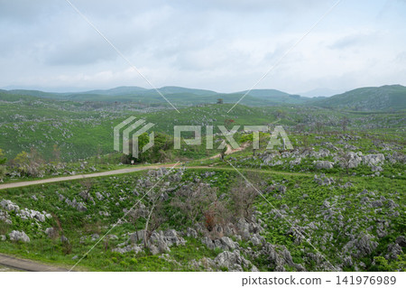 Yamaguchi Prefecture / The spectacular scenery of Akiyoshidai (Akiyoshidai Karst Plateau), a karst plateau surrounded by fresh greenery. Yamaguchi Prefecture / The spectacular scenery of Akiyoshidai (Akiyoshidai Karst Plateau), a karst plateau surrounded by fresh greenery. 141976989