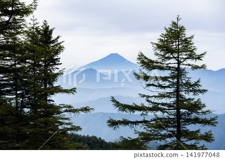 Mount Fuji as seen from Mount Kumotori, one of Japan's 100 Famous Mountains. Mount Fuji as seen from Mount Kumotori, one of Japan's 100 Famous Mountains. 141977048
