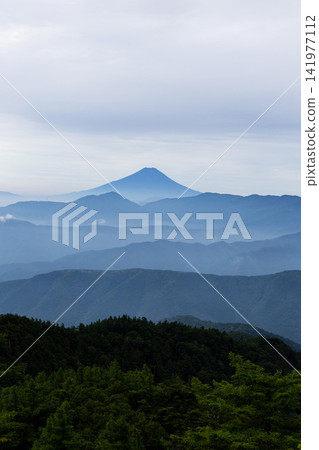 森林輪廓和富士山 森林輪廓和富士山 141977112