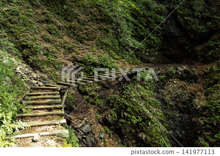 在山道路的木台階 在山道路的木台階 141977113