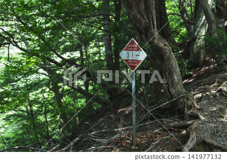 Signpost for Tokyo Metropolitan Water Source Forest Signpost for Tokyo Metropolitan Water Source Forest 141977132