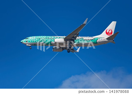 日本越洋航空(JTA)的結城甚兵衛 日本越洋航空(JTA)的結城甚兵衛 141978088