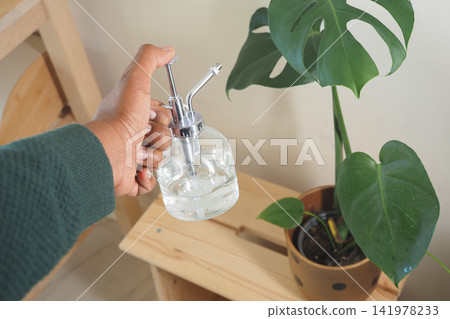 Holding a watering can near a green plant indoors Holding a watering can near a green plant indoors 141978233