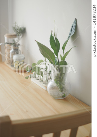 Green plants in vases on a wooden table in a bright room Green plants in vases on a wooden table in a bright room 141978234