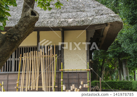 Thatched roof and mansion forest Thatched roof and mansion forest 141978785