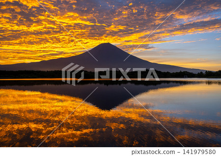 夏日,富士山映照在狸貓湖上空,日出的天空也映照著這番景象。 夏日,富士山映照在狸貓湖上空,日出的天空也映照著這番景象。 141979580