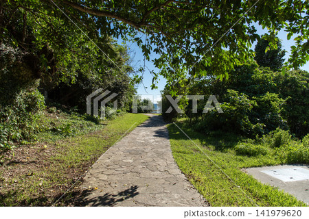 公園內有一條鵝卵石鋪成的步道,四周環繞著湛藍的天空和兩側鬱鬱蔥蔥的樹木。 公園內有一條鵝卵石鋪成的步道,四周環繞著湛藍的天空和兩側鬱鬱蔥蔥的樹木。 141979620