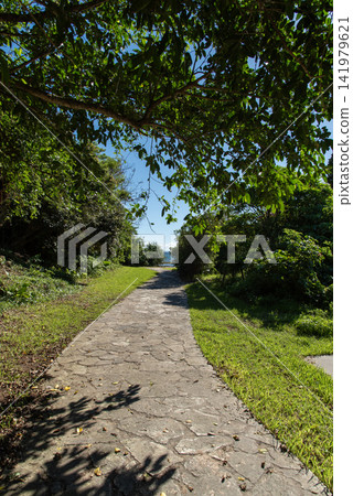 公園內有一條鵝卵石鋪成的步道,四周環繞著湛藍的天空和兩側鬱鬱蔥蔥的樹木。 公園內有一條鵝卵石鋪成的步道,四周環繞著湛藍的天空和兩側鬱鬱蔥蔥的樹木。 141979621