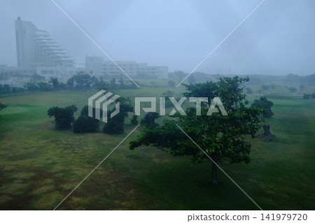 Scenes of a storm caused by a typhoon 141979720