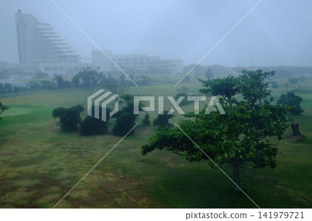 Scenes of a storm caused by a typhoon Scenes of a storm caused by a typhoon 141979721