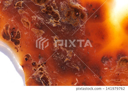 Mold Colonies Spreading Across Translucent Amber Surface Under Bright Backlighting In Macro Closeup Mold Colonies Spreading Across Translucent Amber Surface Under Bright Backlighting In Macro Closeup 141979762