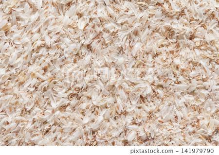 Onion Skins Densely Scattered Across Flat Surface In Studio Closeup Showing Layered Papery Flakes Onion Skins Densely Scattered Across Flat Surface In Studio Closeup Showing Layered Papery Flakes 141979790