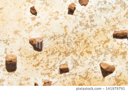 Crumbs Scattered On Stained Paper Surface With Granular Pieces Casting Soft Shadows And Mottled Crumbs Scattered On Stained Paper Surface With Granular Pieces Casting Soft Shadows And Mottled 141979791
