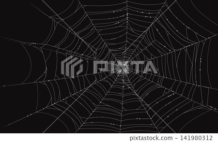 Halloween scary cobweb, spiderweb net. Horror holiday tangled spider web thread, October party hanging sticky trap vector decoration. Halloween season stretching spiderweb net or decor element 141980312