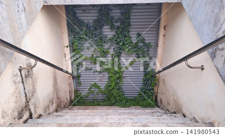 A concrete staircase descends toward a metal shutter covered with green ivy vines in an abandoned setting A concrete staircase descends toward a metal shutter covered with green ivy vines in an abandoned setting 141980543
