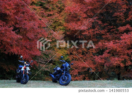 秋葉與摩托車的風景 秋葉與摩托車的風景 141980553