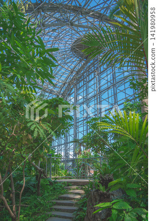 Stairwell inside the Tropical Plant House Stairwell inside the Tropical Plant House 141980958