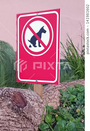 No dog poop sign on wooden post in garden with green plants and pink wall No dog poop sign on wooden post in garden with green plants and pink wall 141981602