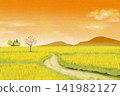 Pastel touches on a rural landscape bathed in the setting sun 141982127