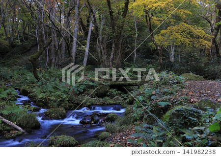 用慢速快門捕捉到的秋日溪流之美。 用慢速快門捕捉到的秋日溪流之美。 141982238