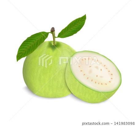 Fresh green guava vector illustration with green leaves on white background. Fresh green guava vector illustration with green leaves on white background. 141983098