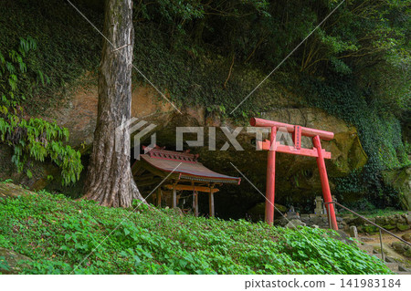 Fukui Ruins Fukui Ruins 141983184