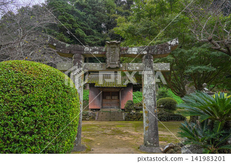 Fukui Ruins Fukui Ruins 141983201