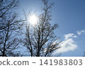 Winter sky in Hokkaido 141983803