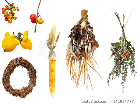 Cutout material set - Dried flowers for autumn Cutout material set - Dried flowers for autumn 141984777