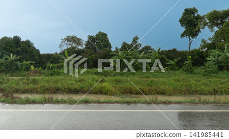 Horizontal or landscape view of wet asphalt road. Runs alongside a lush green field and trees under a cloudy sky after rain. Road with a stream separating the main road from a rural dirt road. Horizontal or landscape view of wet asphalt road. Runs alongside a lush green field and trees under a cloudy sky after rain. Road with a stream separating the main road from a rural dirt road. 141985441
