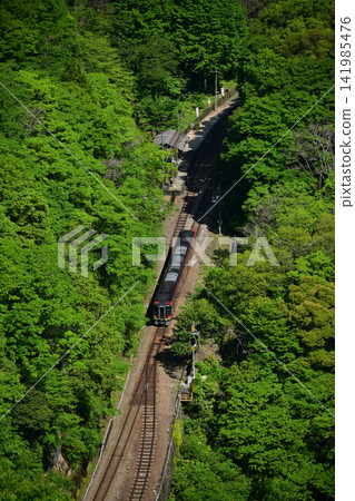2700系特快列車「四萬十號」駛過坪尻站。 2700系特快列車「四萬十號」駛過坪尻站。 141985476