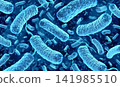 Vibrio vulnificus Infections 141985510