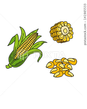 A clean vector illustration set of sweet corn including a whole corn cob with green husk leaves, a sliced corn section, and loose corn kernels, isolated on a white background. Perfect for agriculture, A clean vector illustration set of sweet corn including a whole corn cob with green husk leaves, a sliced corn section, and loose corn kernels, isolated on a white background. Perfect for agriculture, 141985533